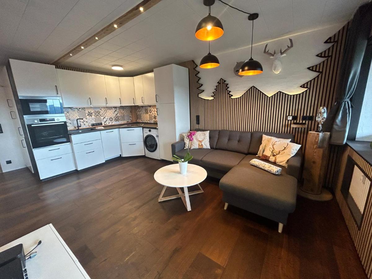 Apartment Fabelwald Black Forest Schonach im Schwarzwald Luaran gambar